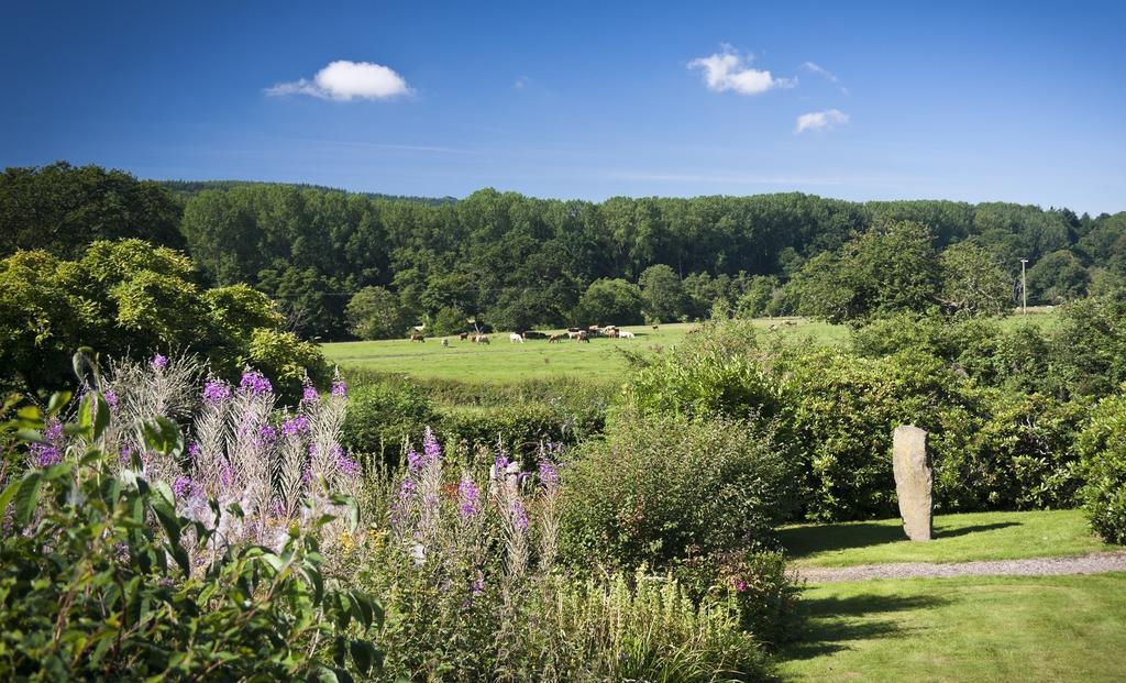 Whitfield House Ludlow Ruang foto